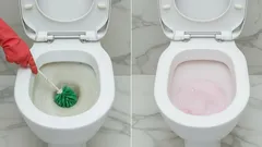 Coloque isto na sanita durante a noite — pela manhã, ela estará brilhando