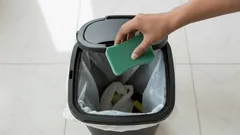 Deves substituir a esponja da cozinha mais vezes do que pensas: especialistas explicam os riscos envolvidos